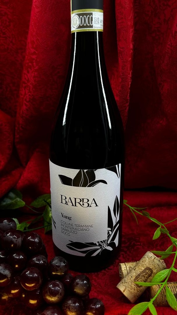 BARBA Yang Montepulciano d'Abruzzo DOCG 