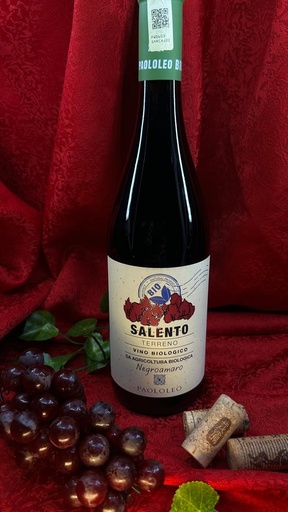 Negroamaro Salento IGT BIO -Terreno -Paolo Leo 